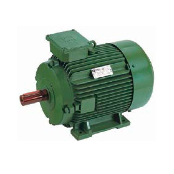 High Efficiency Standard Motors