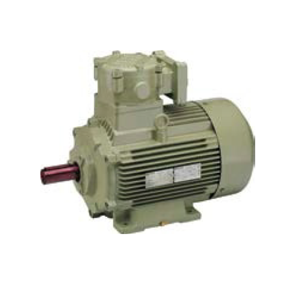 Multi Speed Flamproof Motors For Gas Group IIA & IIB As Per IS - IEC 60079