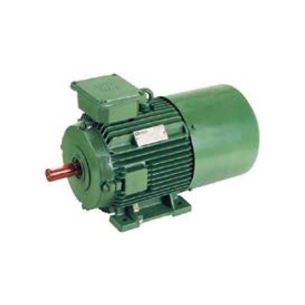 Inverter Duty Motors 