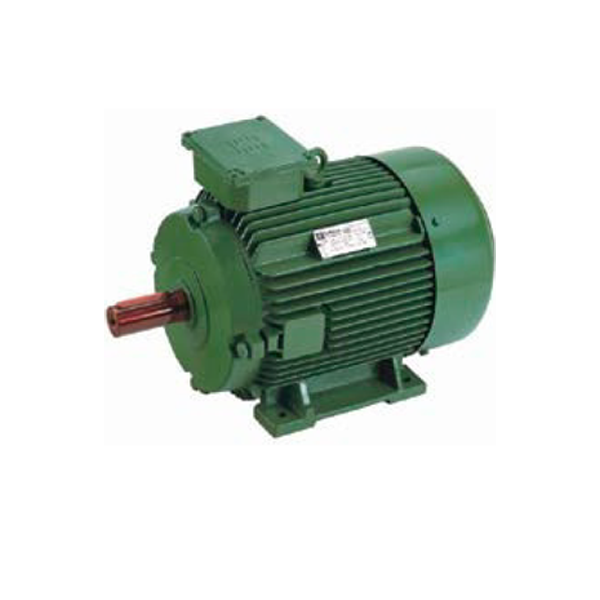 Special Application Motors 